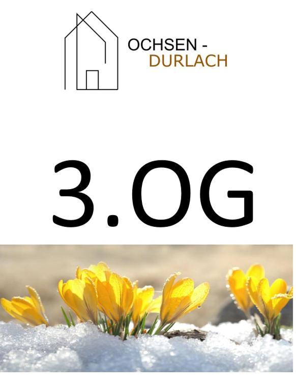 Ochsen-Durlach Karlsruhe Oda fotoğraf